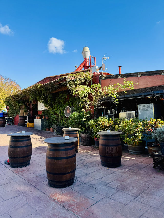 🍷🥩 Wonderful Local Lunch at La Vinya Grill — A True Hidden Gem in Barcelona
