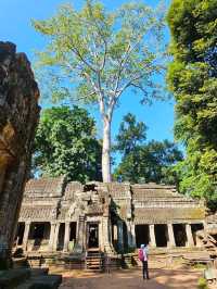 🎬 Explore the Iconic Tomb Raider Filming Site in Cambodia 🌿