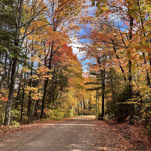 Algonquin Provincial Park Algonquin Provincial Park