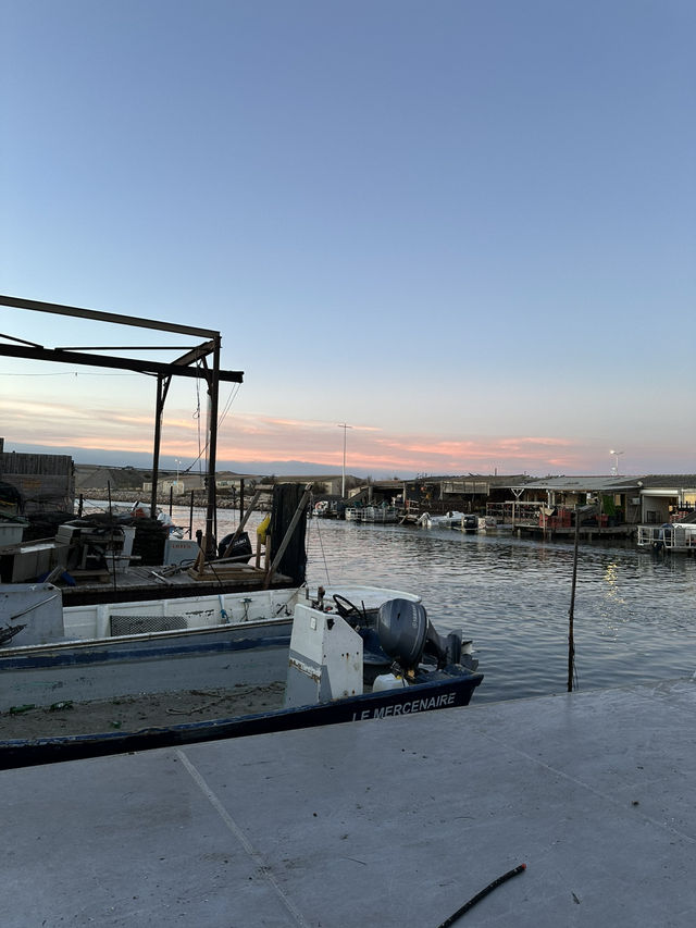 leucate oyster trip from barcelona ๐๐ฆช๐ leucate oyster trip from barcelona ๐๐ฆช๐