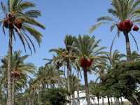 Discover the Magic of Montaza Palace! Alexandria-Egypt