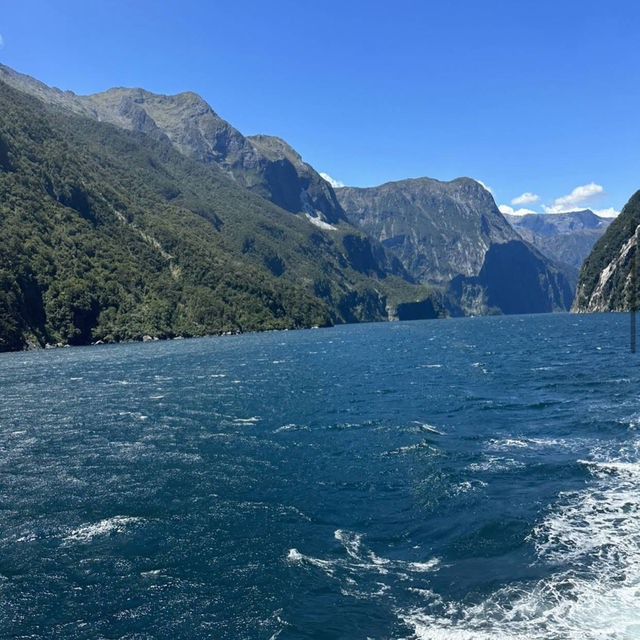 Milford Sound / Piopiotahi Milford Sound / Piopiotahi