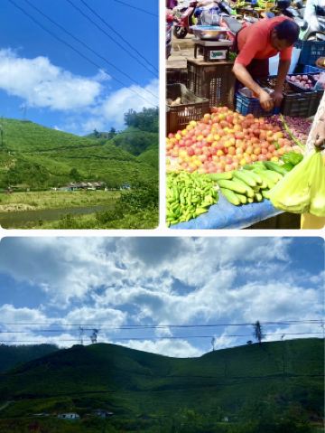 Dawn Over Coconut Flats