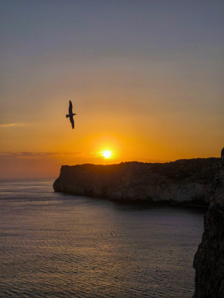 🌊 The Views from Cova d'en Xoroi: Pure Mediterranean