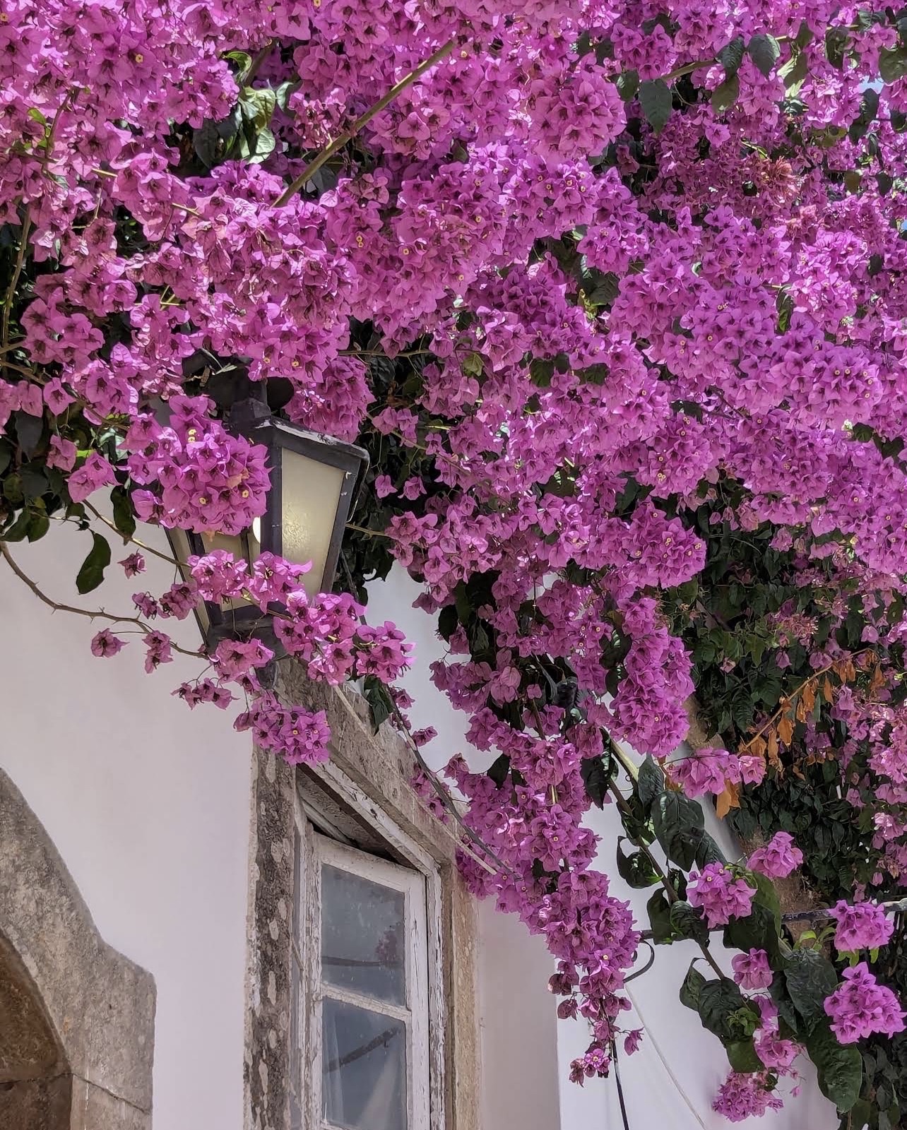 In Óbidos, curiosity is the best travel guide. 