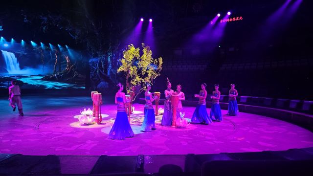 Enchanting Experience at Peacock Princess Grand Theater