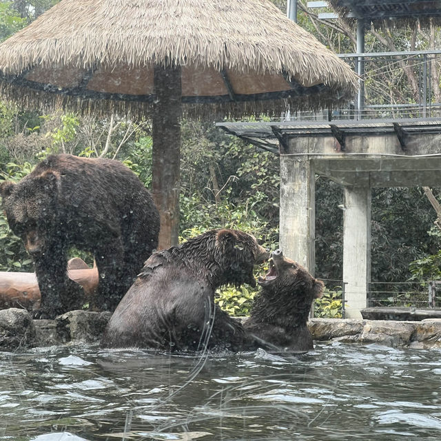 Fun experience at Shenzhen Safari Park