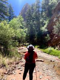 Stunning Beauty of Zion National Park 