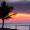 bael_6375