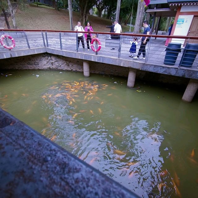 Lianhuashan park greenery 💜