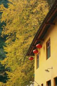 白岩寺11