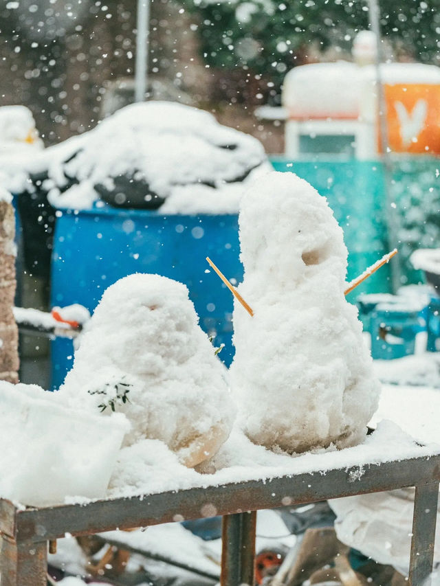 我喜歡下雪天，更喜歡帶我看雪的你