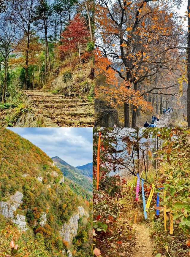 南黄古道／北有香山紅葉，南有南黃楓葉，太美太震撼了！