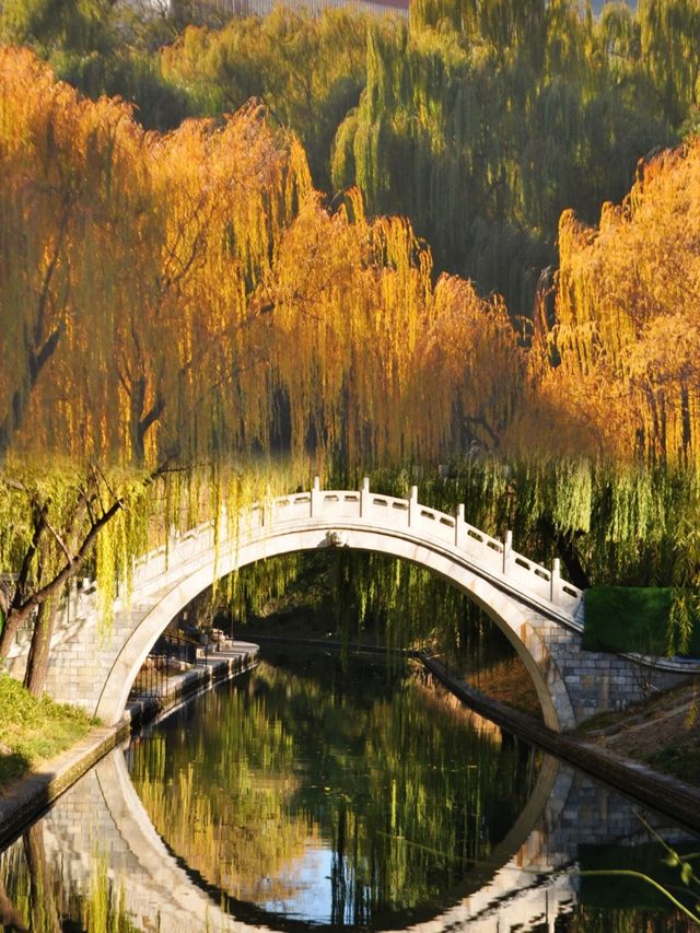 真的真的，真的是北京紫竹院公園
