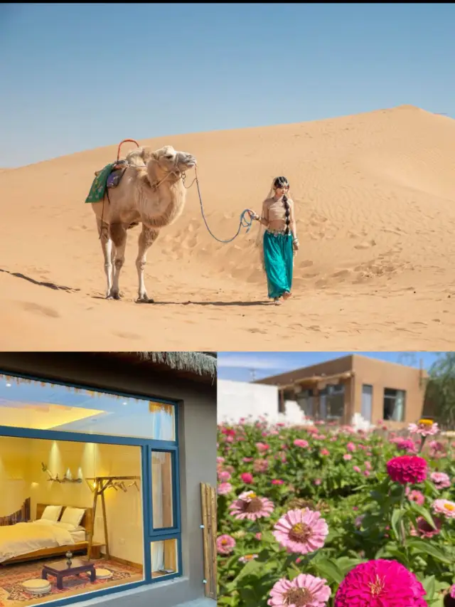 It's too romantic, the homestay next to the Zhongwei desert