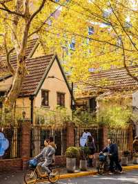 人生建議:12月逛完這些小馬路再離開上海!