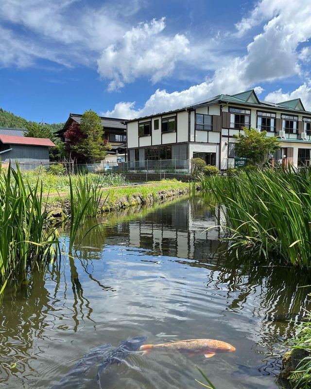 日本遊玩推薦丨忍野八海