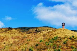 청주 대바산｜산 전체가 물든 색, 사람이 적고 경치가 아름답습니다