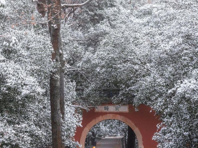 雪後的南京美成了水墨畫