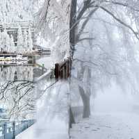 大雪將至，九宮山的雪景絕對不能錯過！❄️ 位於咸寧市通山縣的九宮山，是一個讓人流連忘返的地方