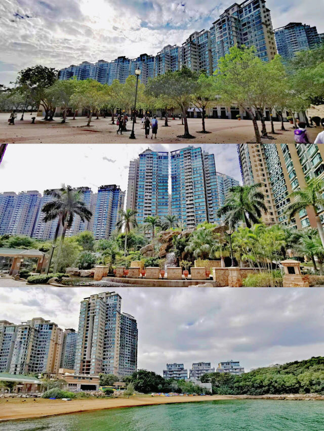 在香港登上諾亞方舟~