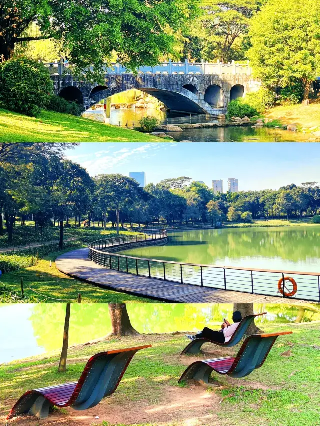 Shenzhen Central Park | Explore the urban oasis, enjoy the leisure time!