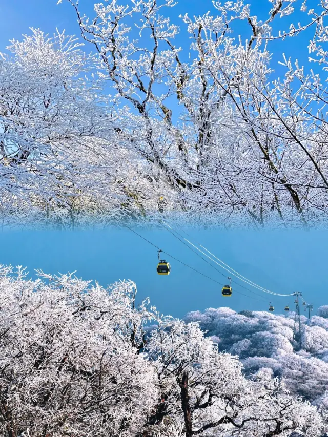 Winter snow scene//Fanjing Mountain//So beautiful