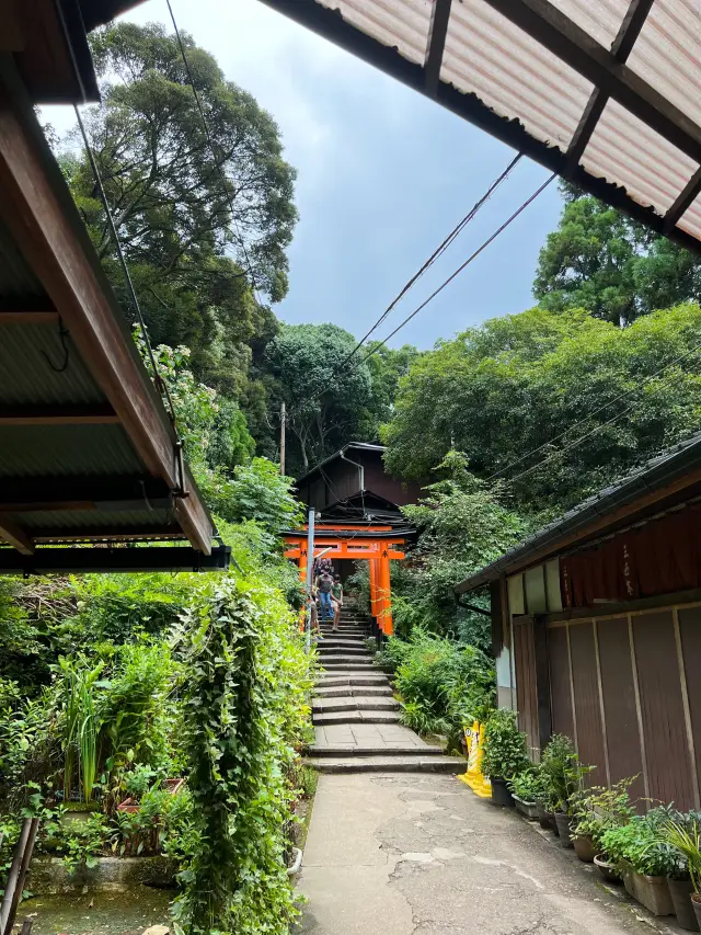 서울을 돌아다니는 것이 어떻게 가능합니까? Fushimi Inari Shrine에 가지 않을 수 없습니다