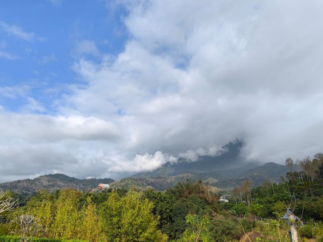 水滿鄉的熱帶雨林公園