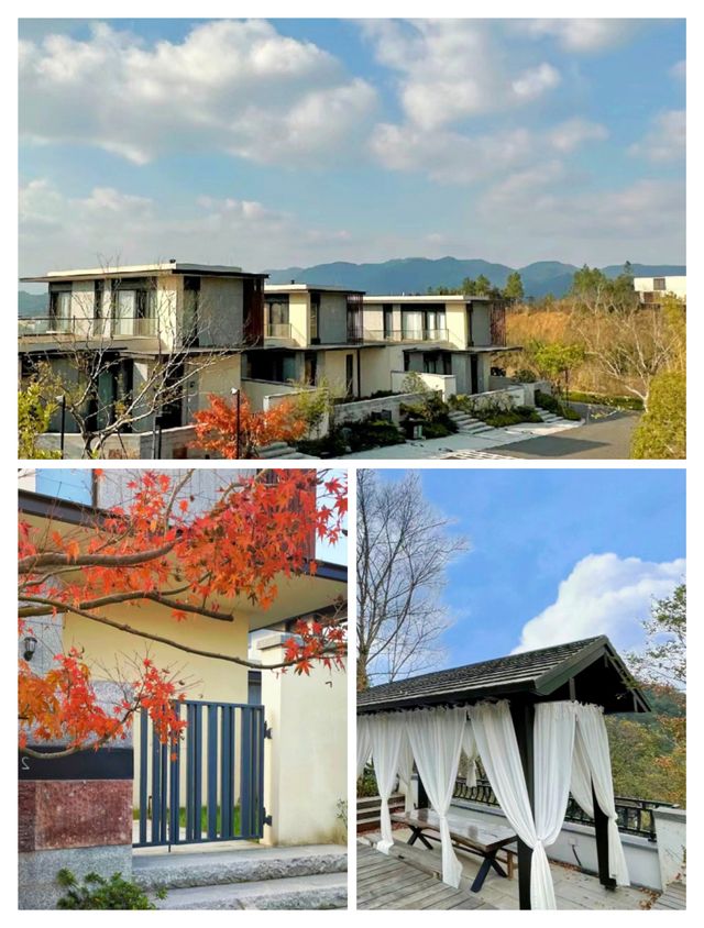 超現代獨棟，遠離城市喧囂——安吉桃源裡