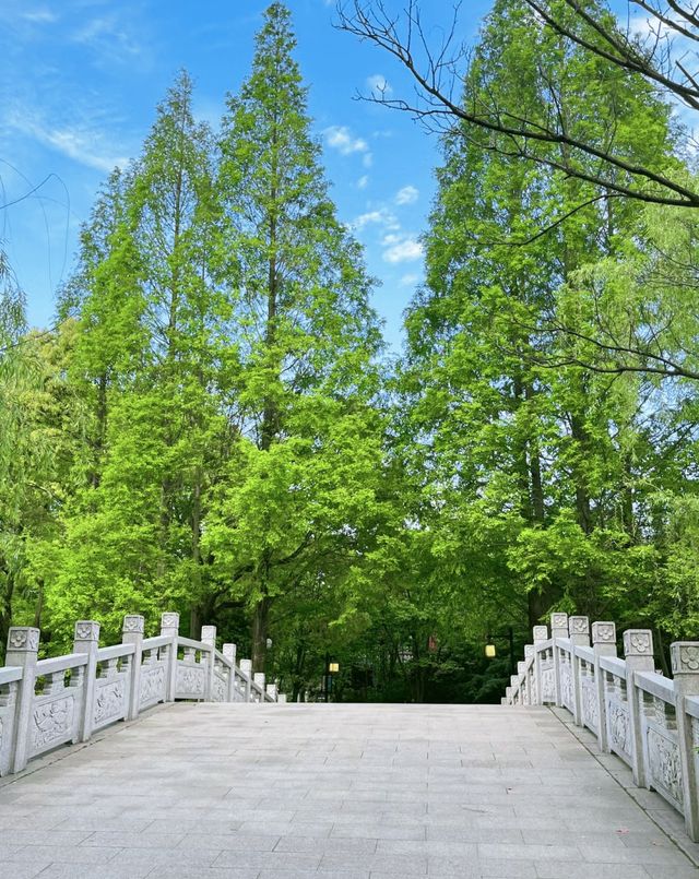 越靠近自然，就越靠近快樂，悠閒寧靜悄然浮現……