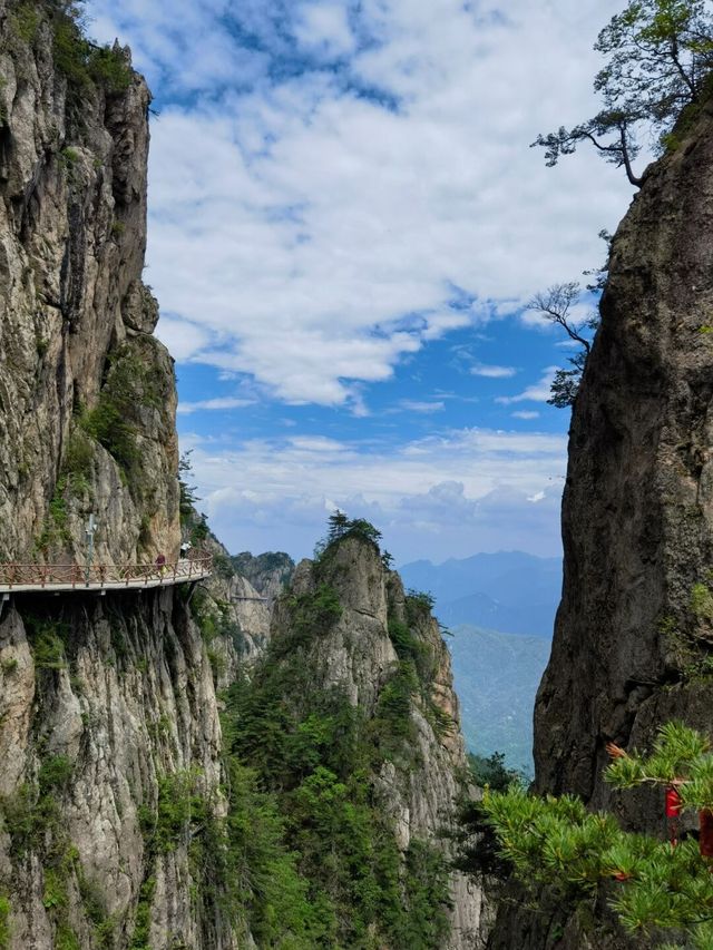 洛陽老君山景區丨中國北方道教聖地