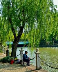 思賢公園|魔都法式公園