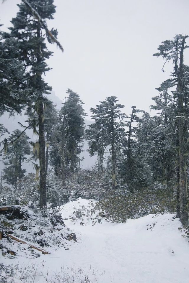 世界的盡頭是雪山