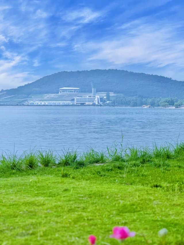 沒有出國/是在濟南後花園