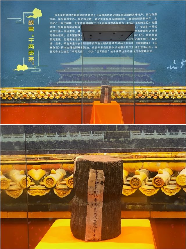 安化中國黑茶博物館，探尋黑茶文化！