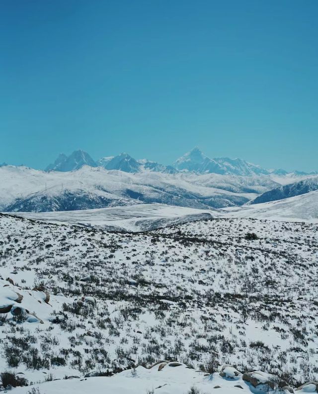 雪後的川西格外的漂亮！