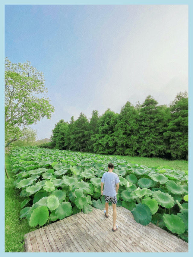 魔都地標上海後花園隱世海島沉靜洗心而美麗在望