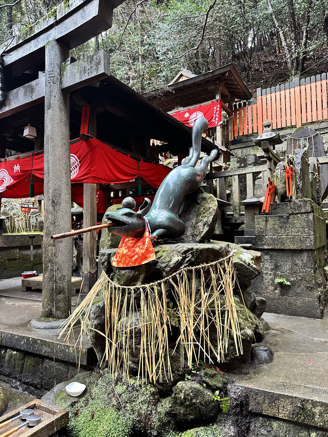 東京-富士市-京都之行