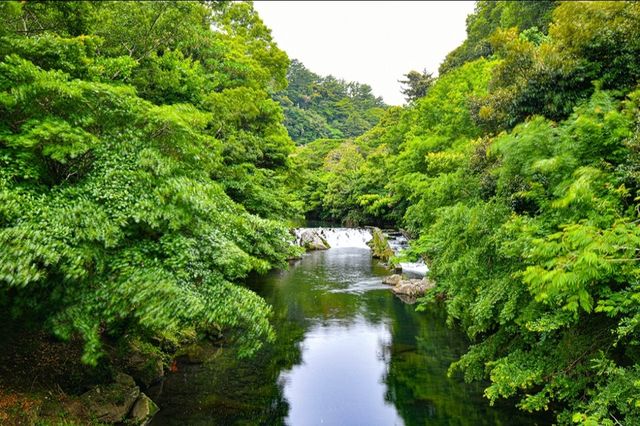 濟州島景點-天地淵瀑布