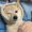 Bell_Grayson_34
