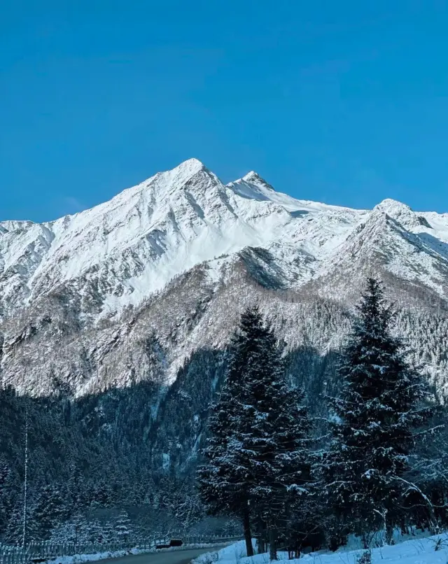 Sisters, come to Western Sichuan for a hug with the snow