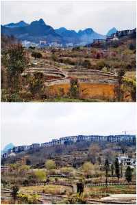 【多彩貴州】薏品田園(一):春到人間草木知