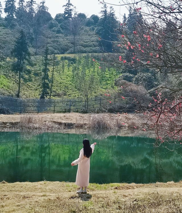 春遊記 沉醉在這一池碧水藍天中