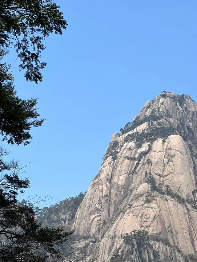 登黃山天下無山！