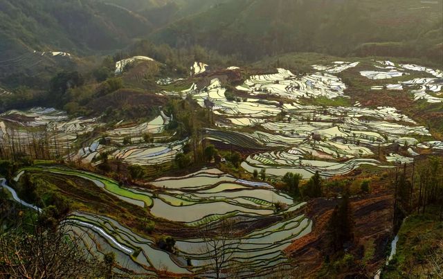 早春滇東南 溢彩天地間（八）：老虎嘴梯田