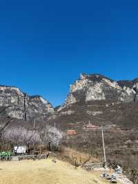 雲台山景區裡的一家民宿 出行吃住玩特別方便