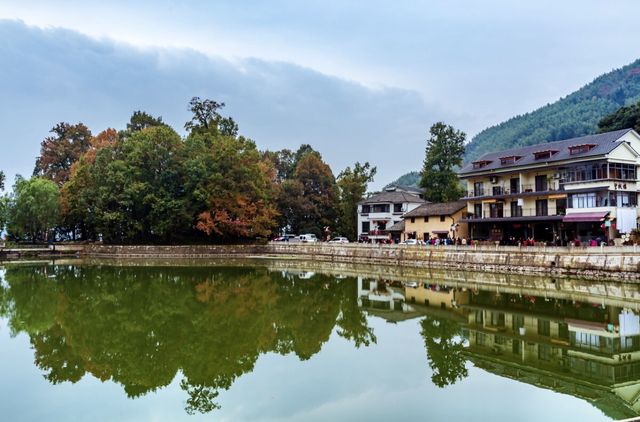 全球追秋｜杭州指南村遇見美麗秋景
