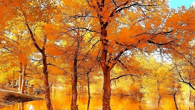 9-11月最美賞秋旅遊目的地推薦