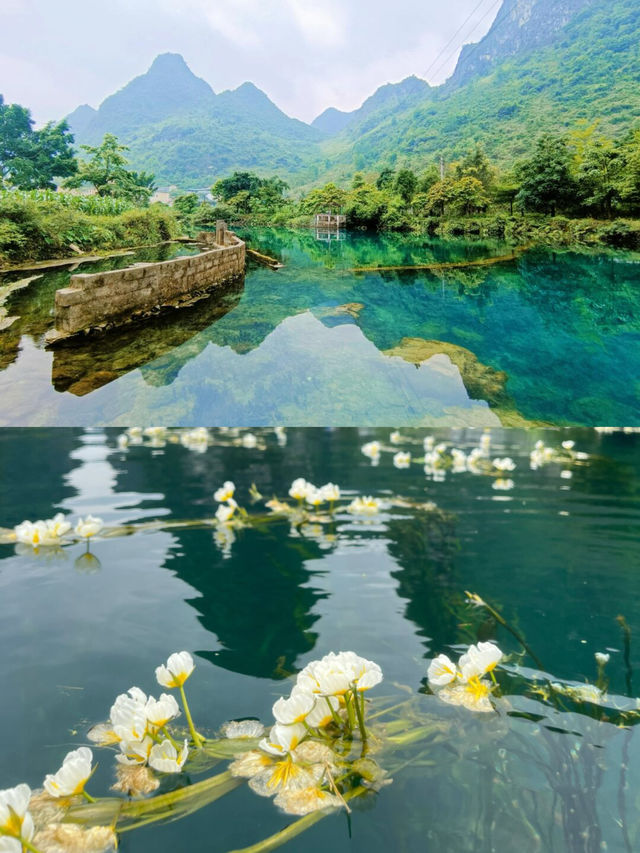 一條會開花的河，河水清澈見底